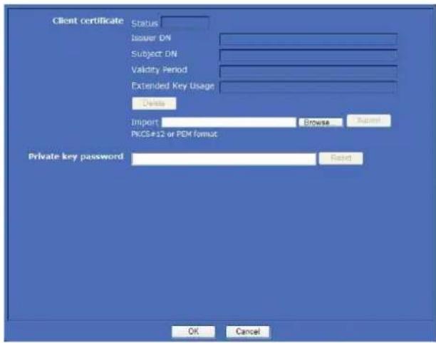 Client certificate Status Issuer DN Subject DN Validity Period Extended Key Usage Delete Import Browse Rename PKCS#12 or PEM format Private key password Reset OK Cancel