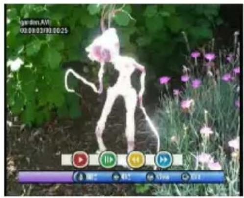 garden.AVI 00:00:03/02:00:25