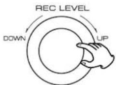 REC LEVEL DOWN UP