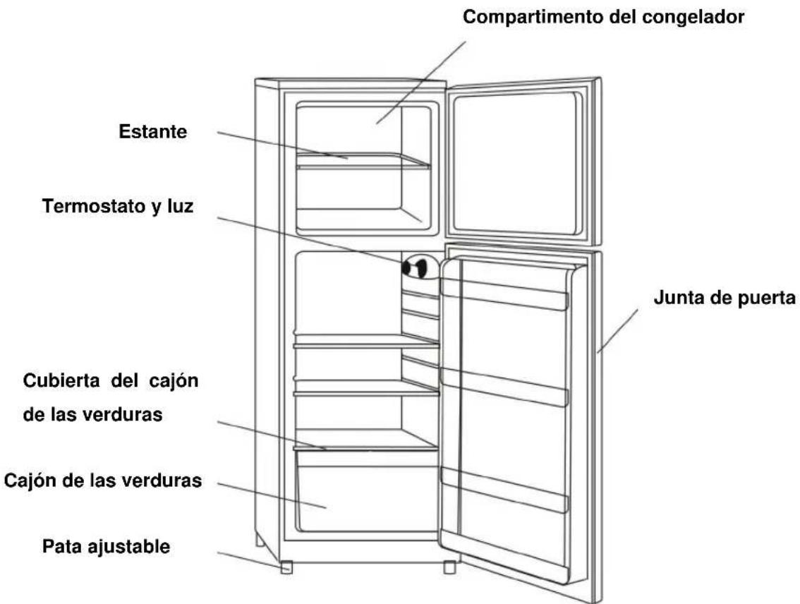 Compartimento del congelador Estante Termostato y luz Junta de puerta Cubierta del cajón de las verduras Cajón de las verduras Pata ajustable