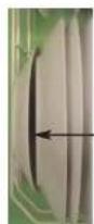 SAUTER DWS20BX - Instructions for laboratory tests:elle - 7