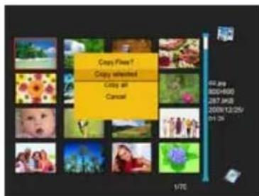 Copy Files ? Copy watched Copy all Cancel 00.jpg 00:00:00 287.5MP 00:00:12:00/ 01:24 1/7E