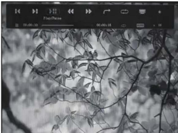 VIEWSONIC VFM836-54 - Video Playback Setup - 1
