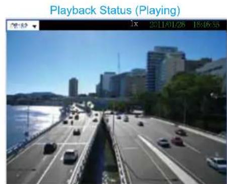 Playback Status (Playing) 1x 2011/01/26 18:45:55