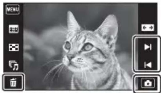 Black-and-white photo of a tabby cat with visible eye, looking upward (no text or symbols)