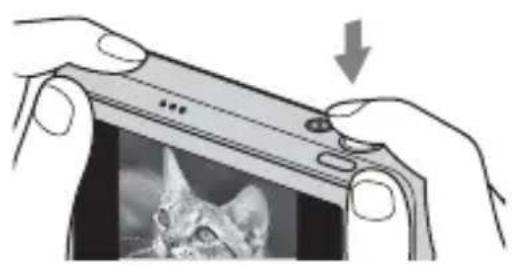 Illustration of hands holding a smartphone with a cat photo on screen (no text or symbols visible)