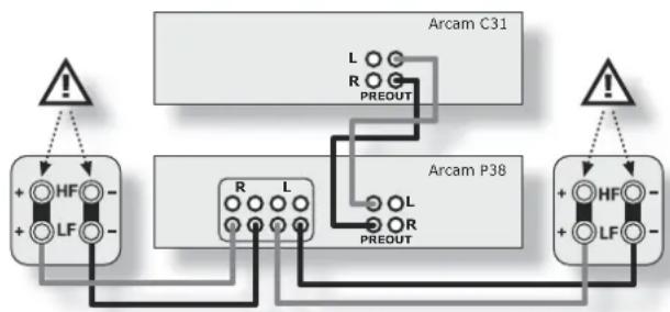 ARCAM C31 - Single wiring - 1