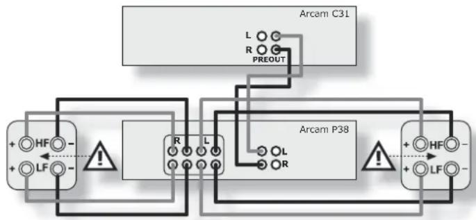 ARCAM C31 - Bi-wiring - 1