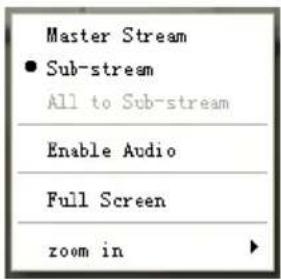 Master Stream ● Sub-stream All to Sub-stream Enable Audio Full Screen zoom in