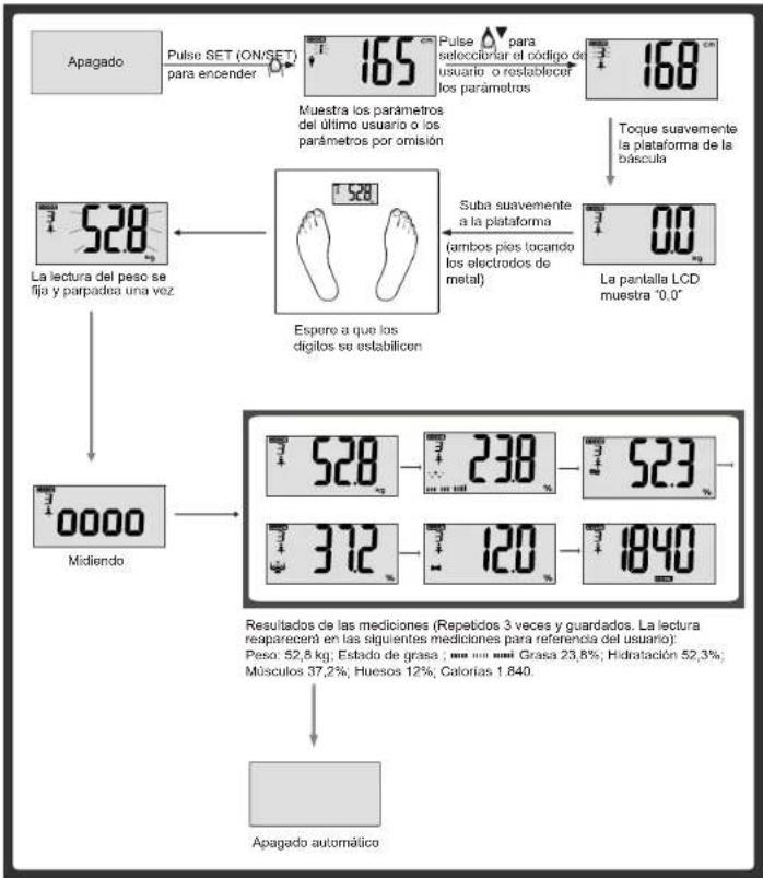 Apagado Pulse SET (ON/SET) para encender 165 °C Muestra los parámetros del último usuario o los parámetros por omisión 168 °C Pulse ▲ para selecciólar el código de usuario o restablocur los parámetros Toque suavemente la plataforma de la báscula 528 Espere a que los digilos se estabilicen La lectura del peso se fijo y parpadea una vez Suba suavemente a la plataforma (ambos pies tocando los electrodos de metal) 0.0 La pantalla LCD muestra "0.0" Midiendo 528 238 523 372 120 1840 Resultados de las mediciones (Repetidos 3 veces y guardados. La lectura reaparecerá en las siguientes mediciones para referencia del usuario): Peso: 52,8 kg; Estado de grasa : 23,8%; Hidratación 52,3% Músculos 37,2%; Huesos 12%; Calorías 1.840. Apagado automático