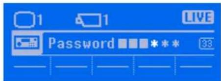 1 1 LIVE Password 33