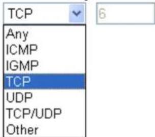 TCP Any ICMP IGMP TCP UDP TCP/UDP Other