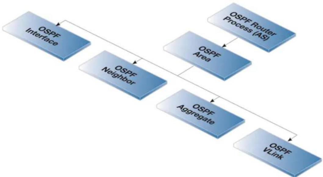 D-LINK DFL-860E - OSPF Components - 1