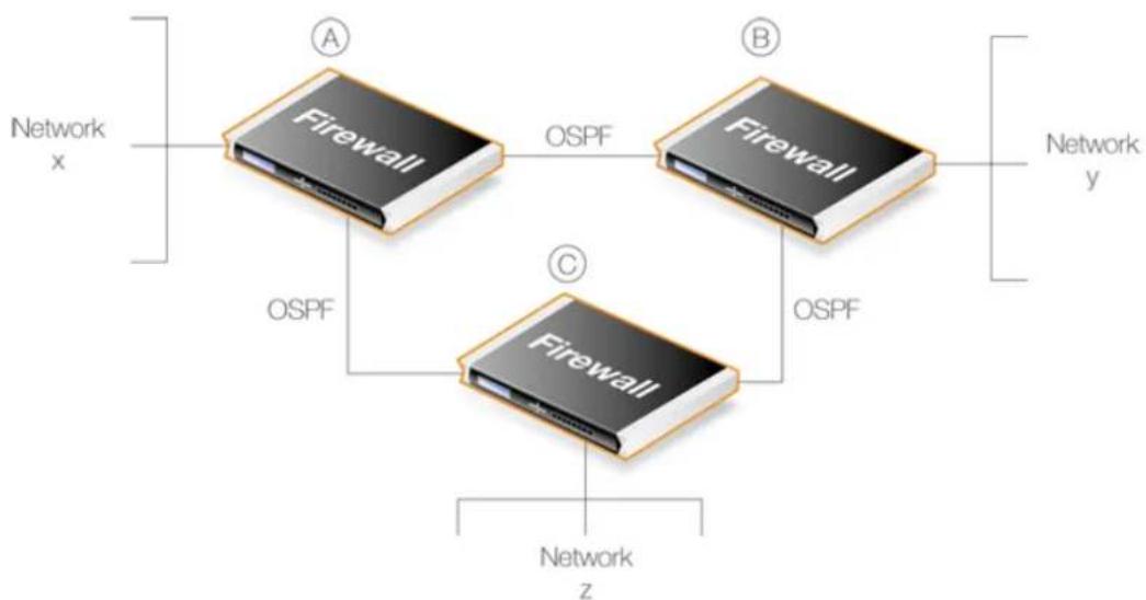 D-LINK DFL-860E - OSPF Provides Route Redundancy - 1