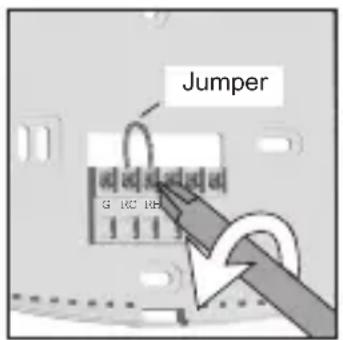 Jumper G 10C 10S