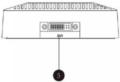 DVI 5