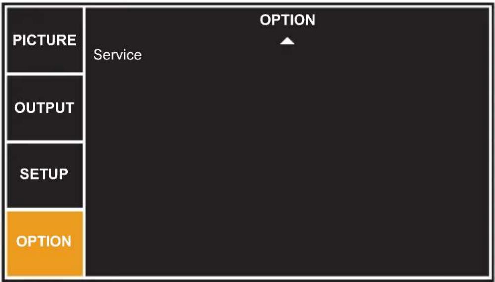 PICTURE OUTPUT SETUP OPTION OPTION Service