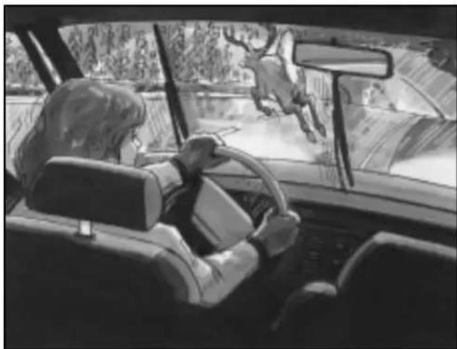 Interior view of a car with driver at steering wheel, showing dashboard and windshield (no visible text or symbols)