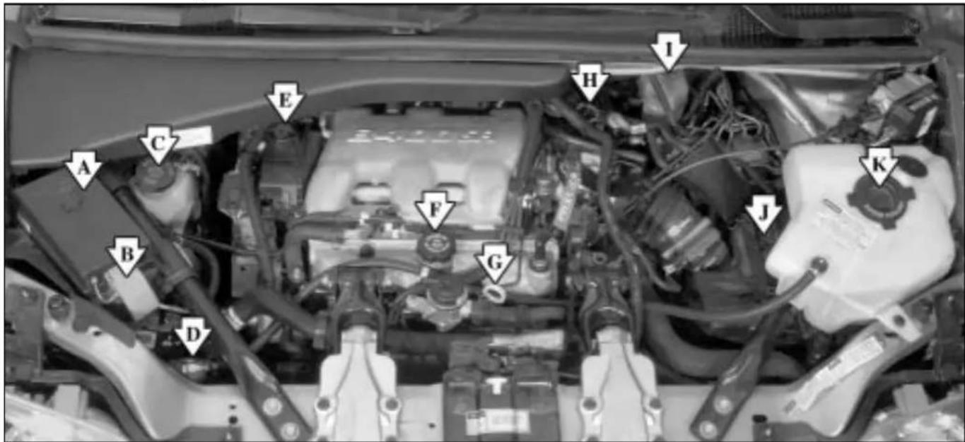 Labeled mechanical engine bay with numbered components for identification