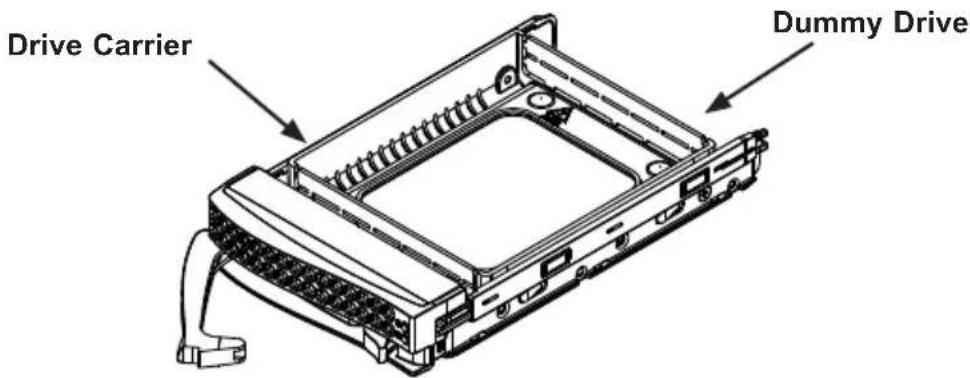 Drive Carrier Dummy Drive