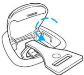 Mercury Sable (2004) - Seating and Safety Restraints - 1