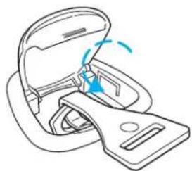 Mercury Sable (2001) - Seating and Safety Restraints - 2