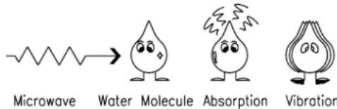 Microwave → Water Molecule Absorption Vibration