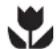 ELECTROLUX EWF14115 - Maskin - 1