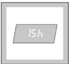ELECTROLUX EWF14115 - Display - 2