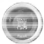 Chrysler 300 SRT (2012) - KeylessEnter-N-Go - 1