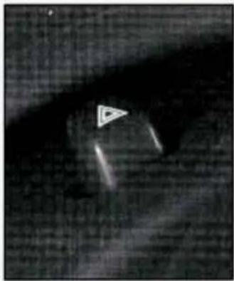 Close-up of a dark, textured surface with a small white triangular artifact in the center (no visible text or symbols)