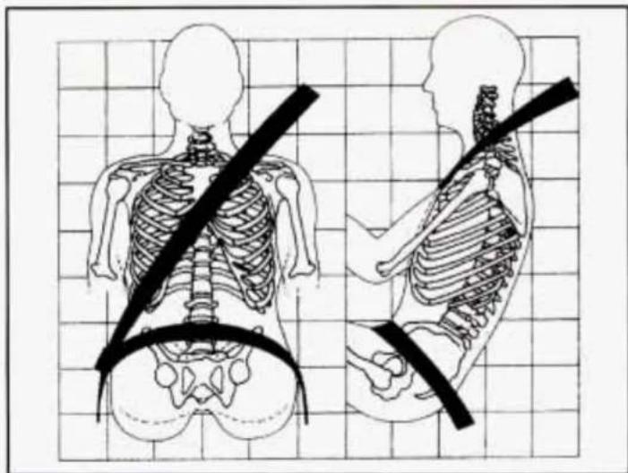 Illustration of human skeletal anatomy showing front and side views with a belt, no text or symbols present