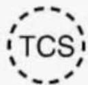 Oldsmobile Silhouette (1998) - Traction Control System Warning Light (Option) - 1