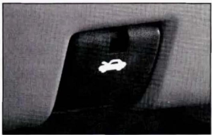 Close-up of a dark, curved object with a white circular mark on its surface (no text or symbols visible)