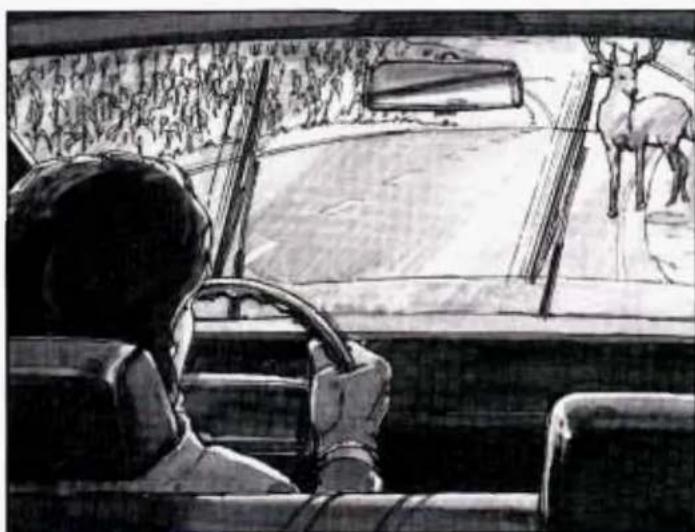 Black-and-white sketch of a person sitting in a car looking out a deer on the road, with trees and foliage in the background (no text or symbols)