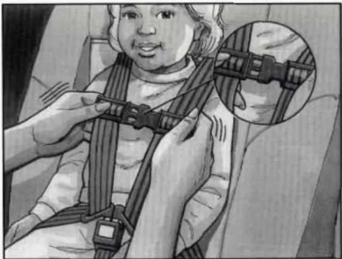 Illustration of a child wearing a car seatbelt, with an inset showing the same seatbelt (no text or symbols present)