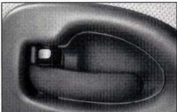 Close-up of a dark, oval-shaped object with a small white protrusion, possibly a lens or abstract form (no visible text or symbols)