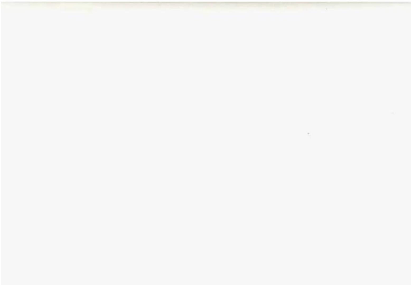Completely blank white image with no visible content, text, or symbols.