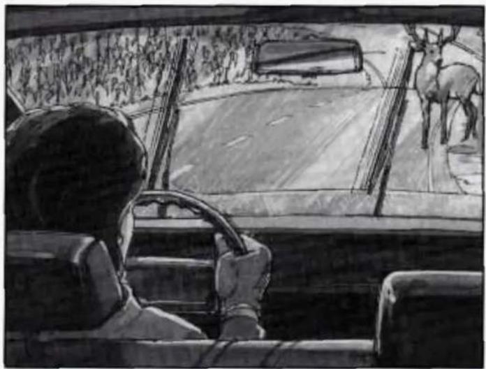 Black-and-white sketch of a person sitting in a car, looking out at a deer on the road (no text or symbols visible)