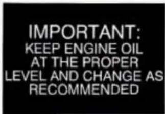 IMPORTANT: KEEP ENGINE OIL AT THE PROPER LEVEL AND CHANGE AS RECOMMENDED