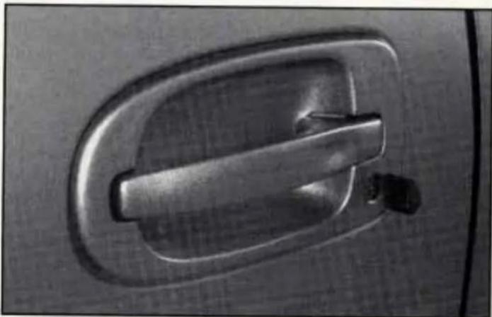 Close-up of a metallic door handle with a handle and handle plate (no text or symbols visible)