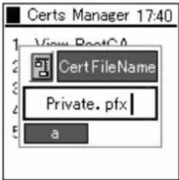 HITACHI IP5000 - Private Certificate - 10