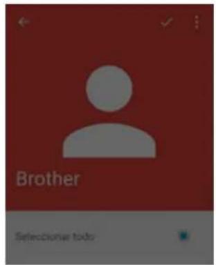Brother Selectioner todo: