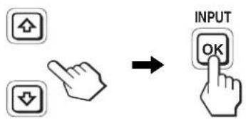 INPUT OK