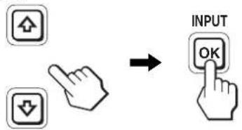 INPUT OK