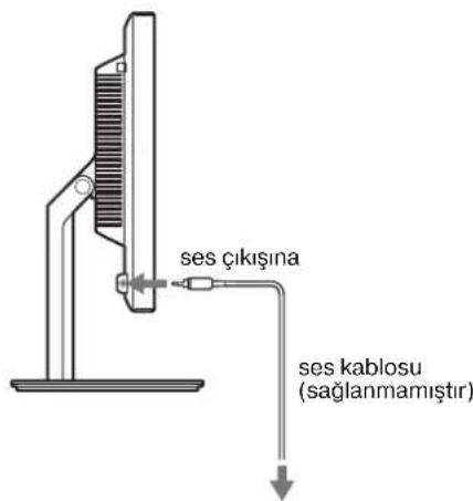 ses çıkışına ses kablosu (sağlanmamıştır)