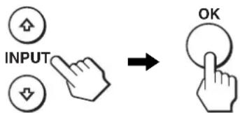 INPUT OK