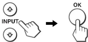 INPUT OK