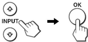INPUT OK