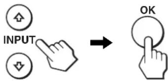 INPUT OK